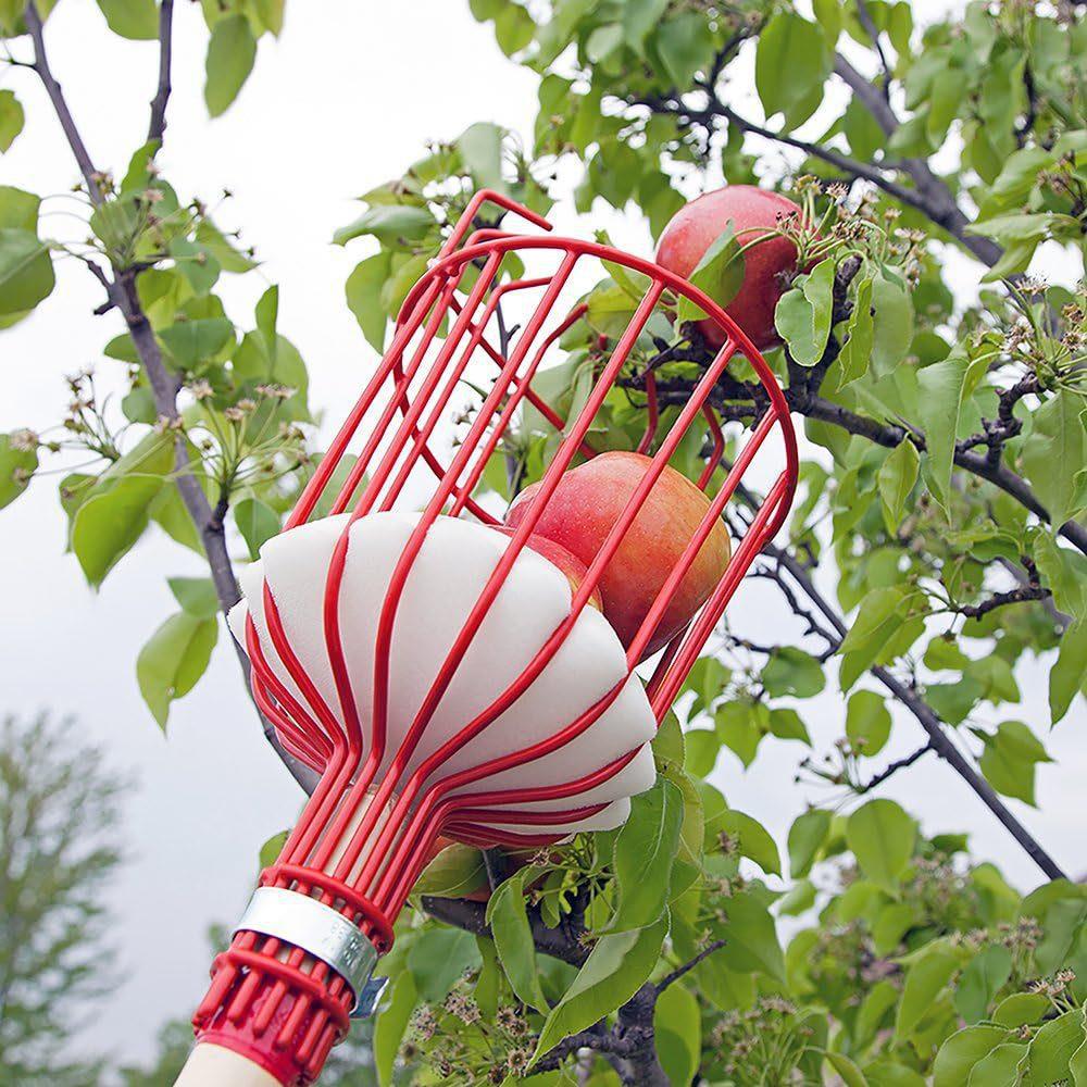 Fruit picking tool with telescopic pole - stainless steel fruit picking pole, high altitude tree fruit picking tool 2.4m