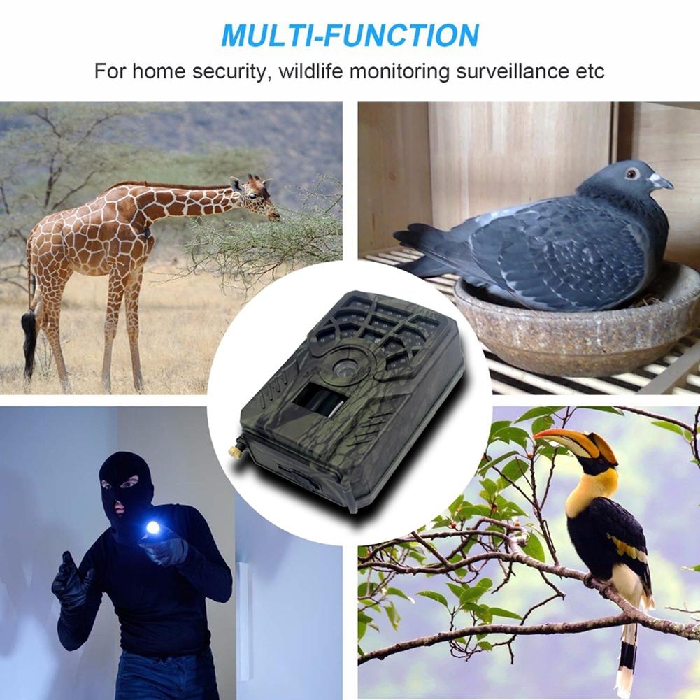 5Mp Trail Camera For Hunting And Outdoor Adventures